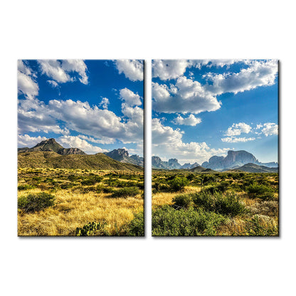 Big Bend National Park Wall Art