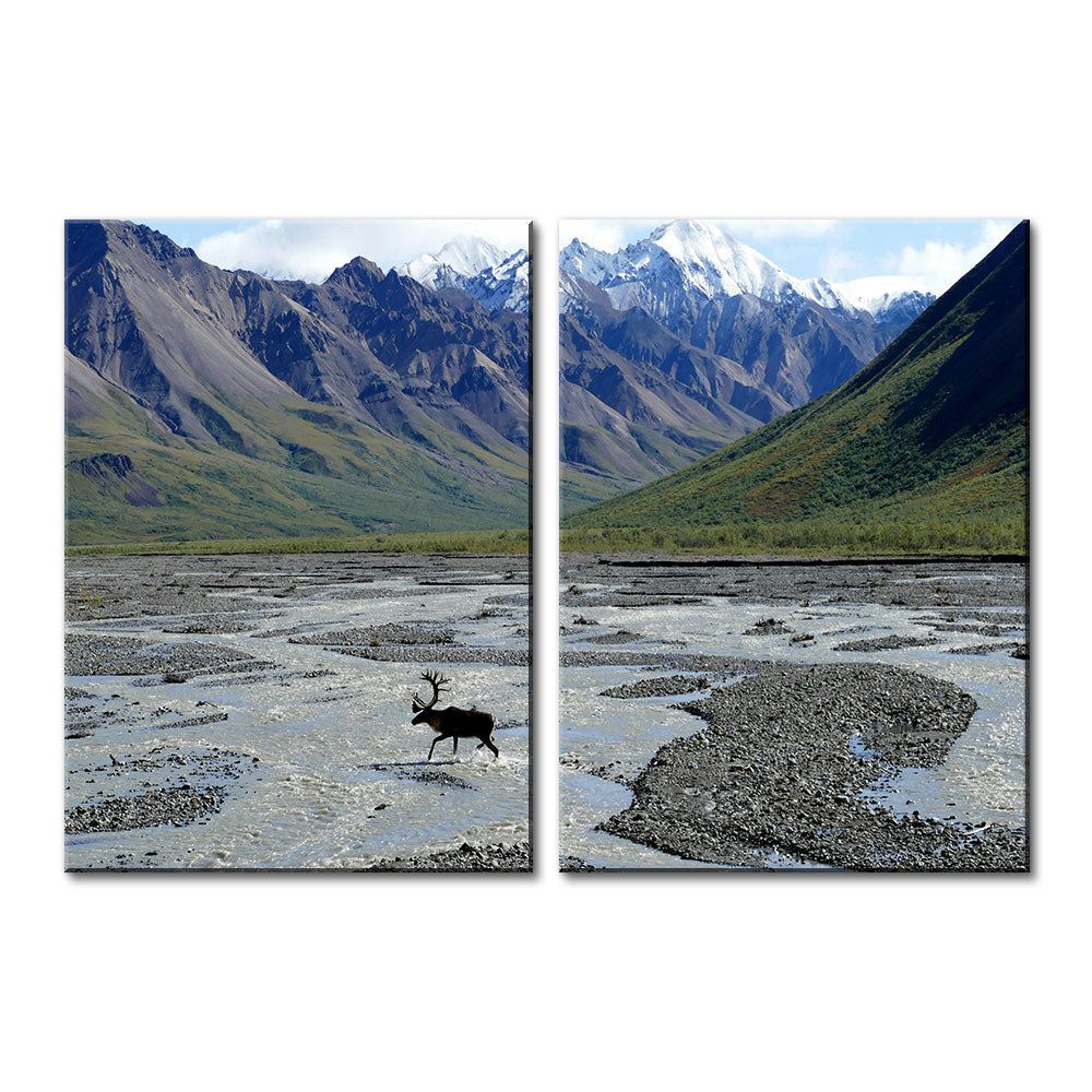 Denali National Park and Preserve Wall Art