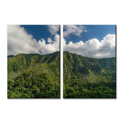 Great Smoky Mountains National Park Wall Art