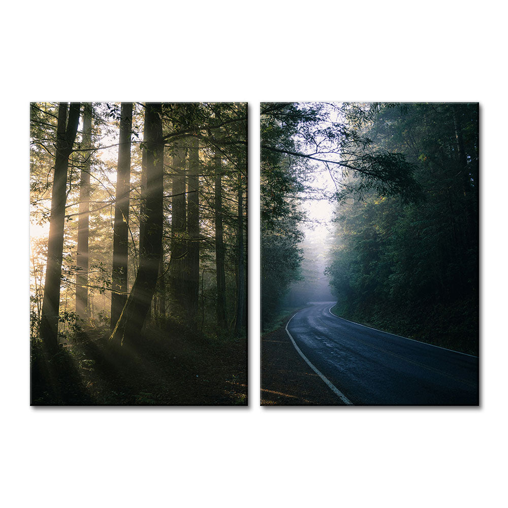 Redwood National and State Parks Wall Art