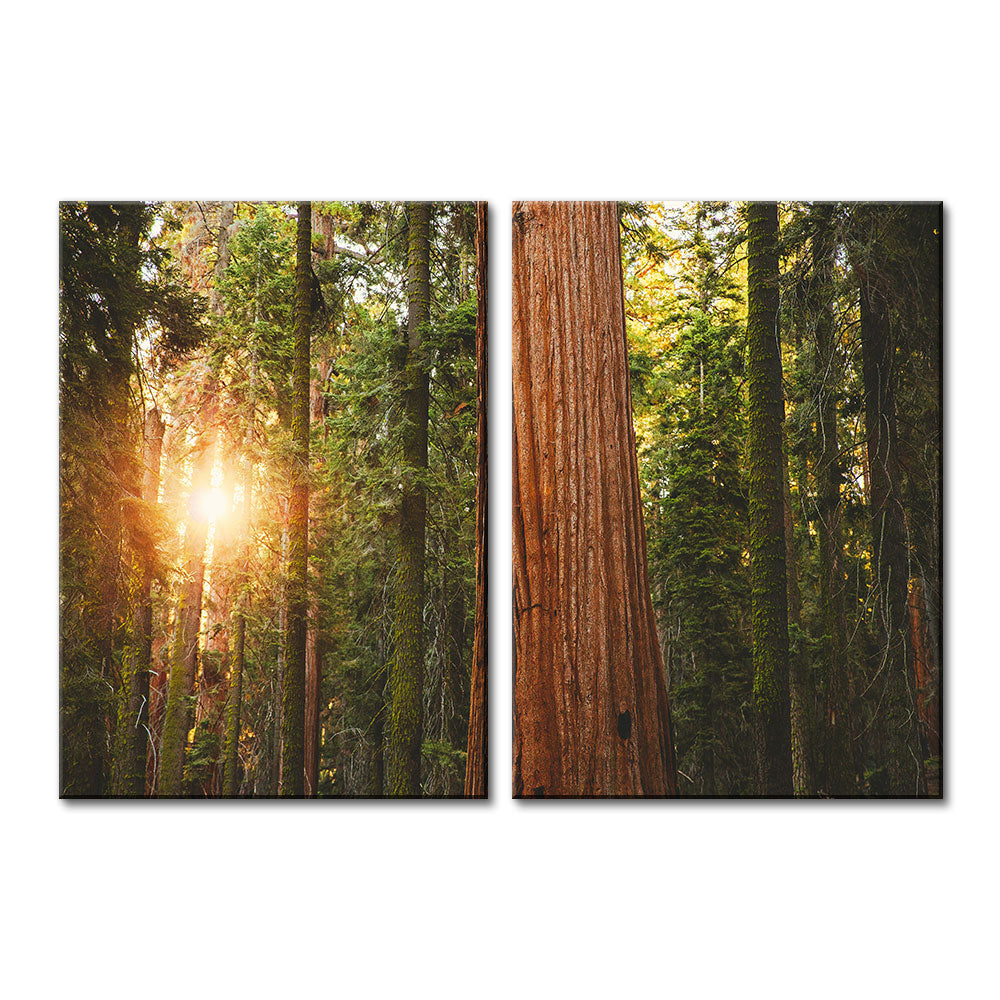 Sequoia National Park Wall Art