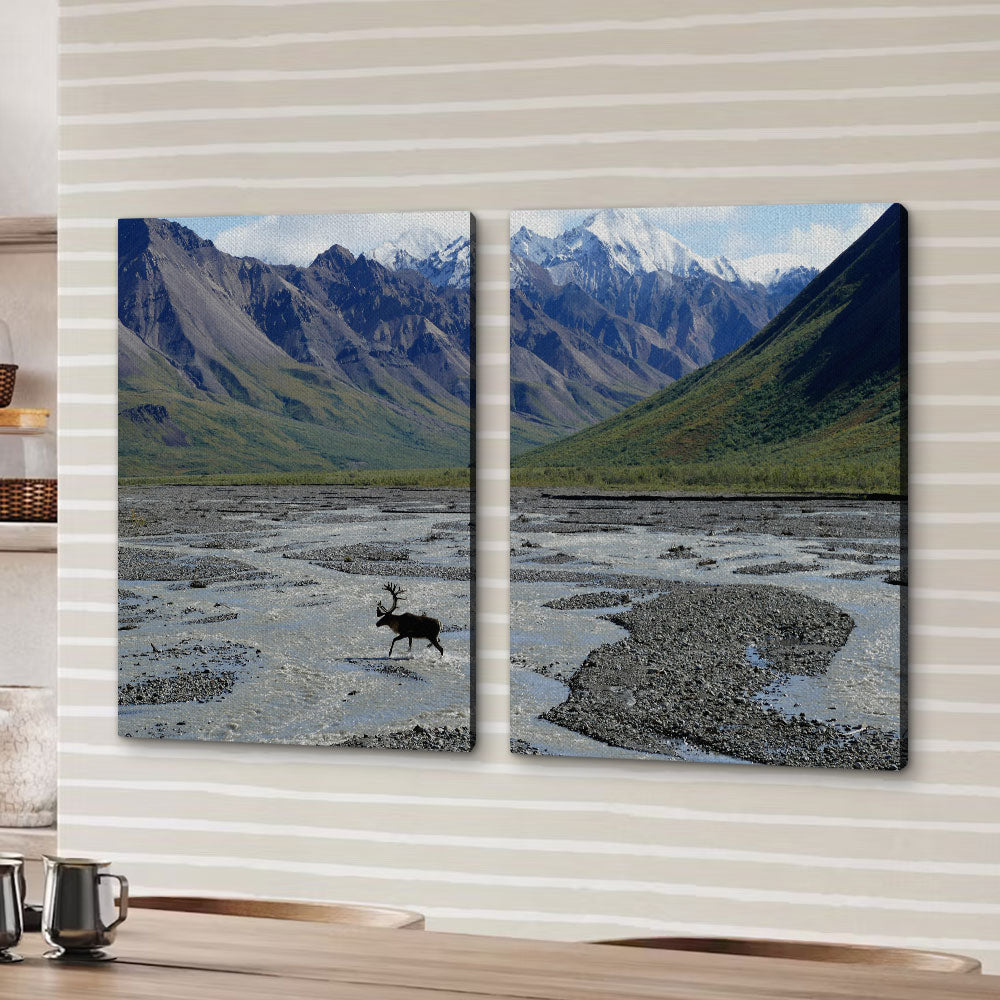 Denali National Park and Preserve Wall Art