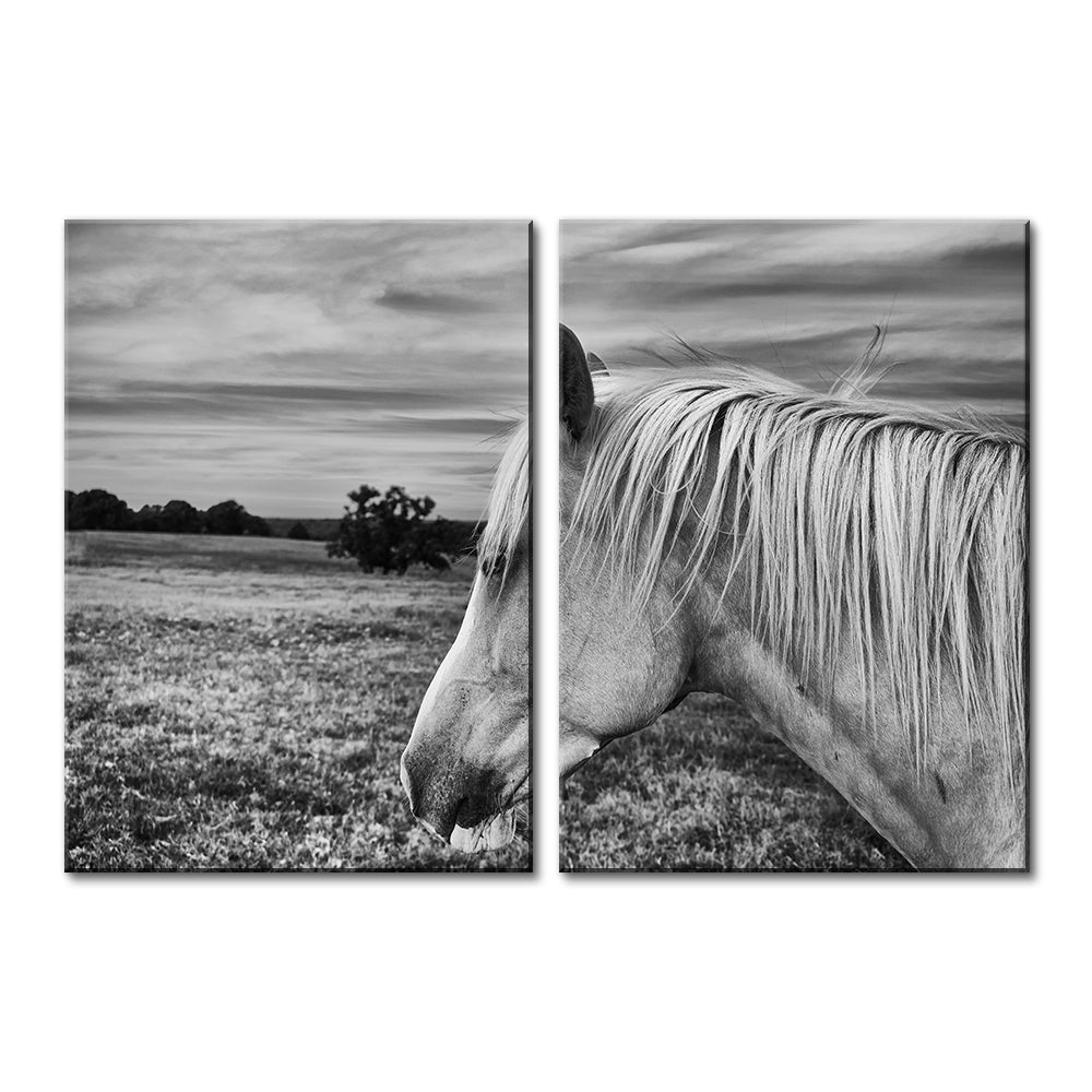 Black White Horse Wall Art