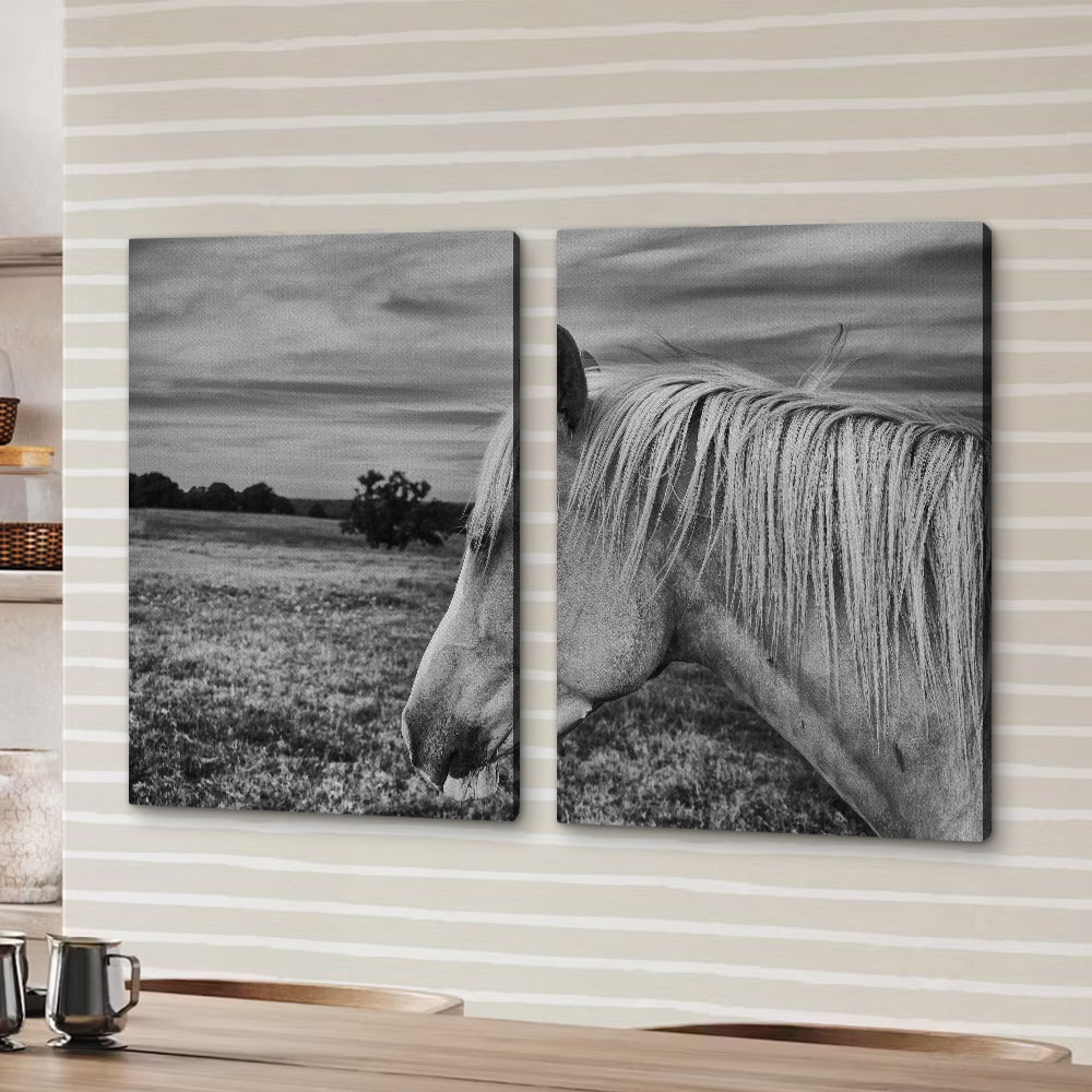 Black White Horse Wall Art