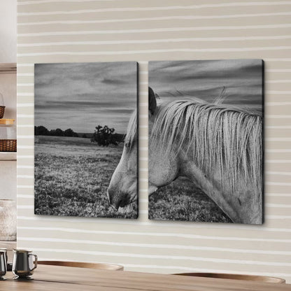 Black White Horse Wall Art