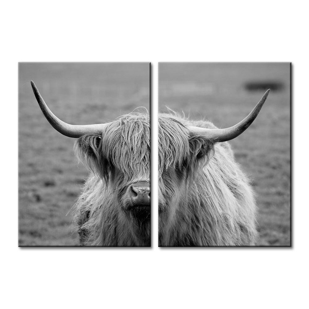 Black White Highland Cow Wall Art