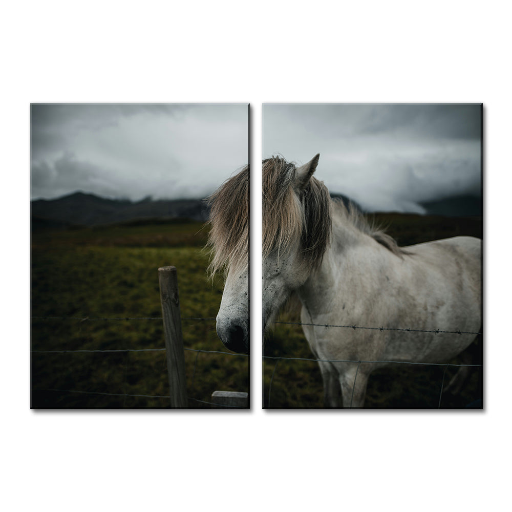 White Horse Wall Art