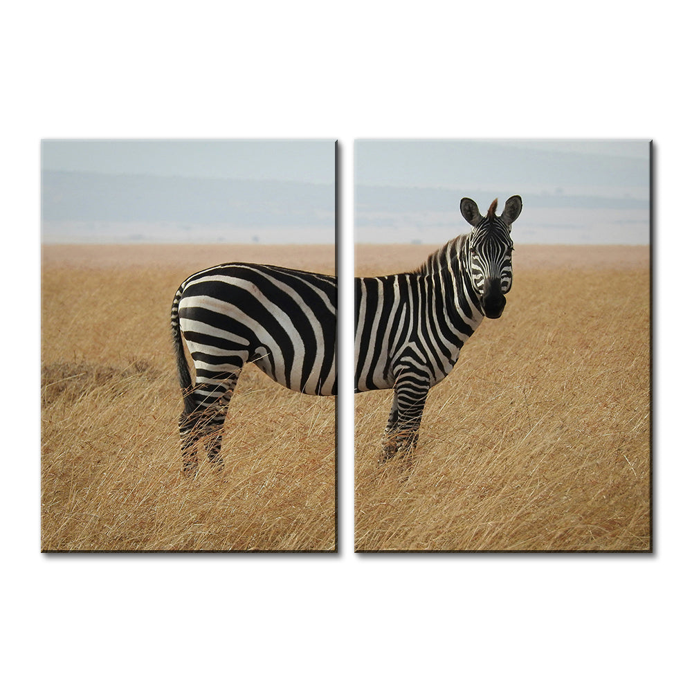 Safari Zebra Wall Art