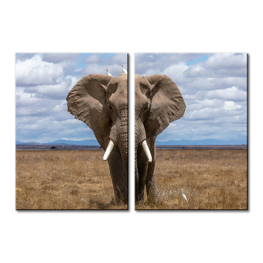 Safari Elephant Wall Art