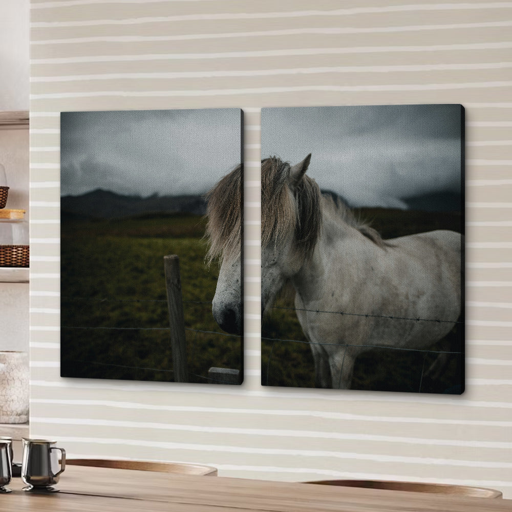 White Horse Wall Art
