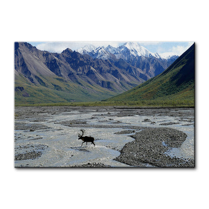 Denali National Park and Preserve Wall Art