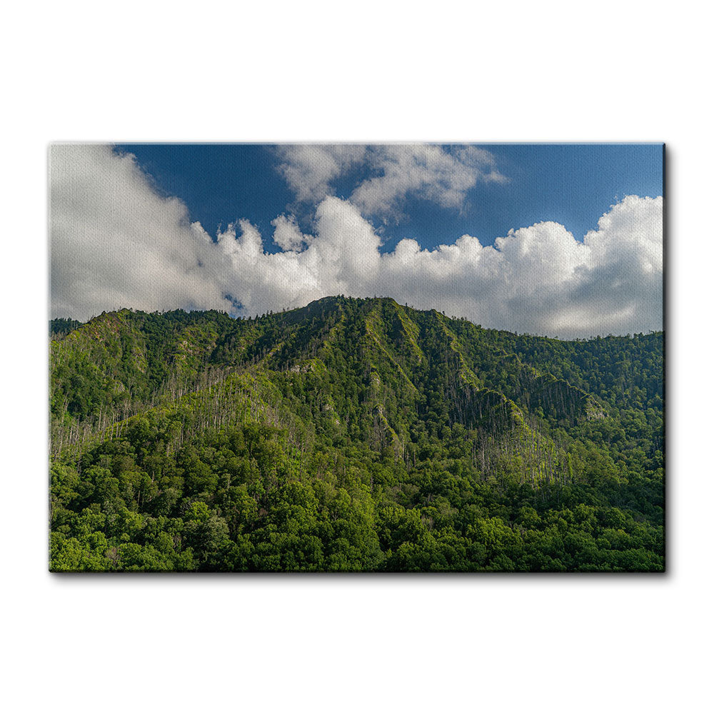 Great Smoky Mountains National Park Wall Art