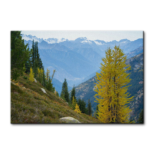 Olympic National Park Wall Art