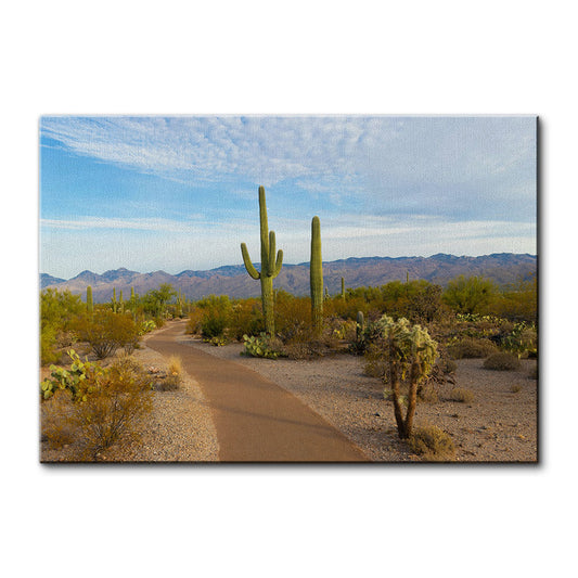 Saguaro National Park Wall Art