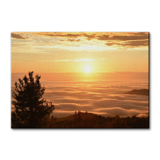 Shenandoah National Park Wall Art