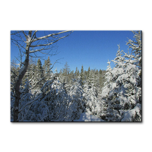 Voyageurs National Park Wall Art