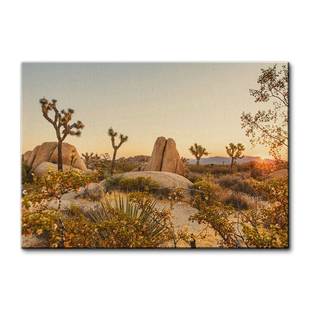 Joshua Tree National Park Wall Art