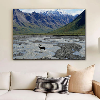 Denali National Park and Preserve Wall Art