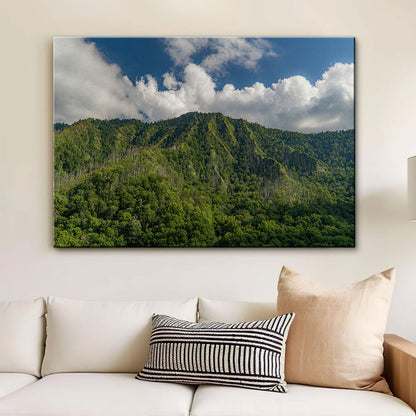 Great Smoky Mountains National Park Wall Art