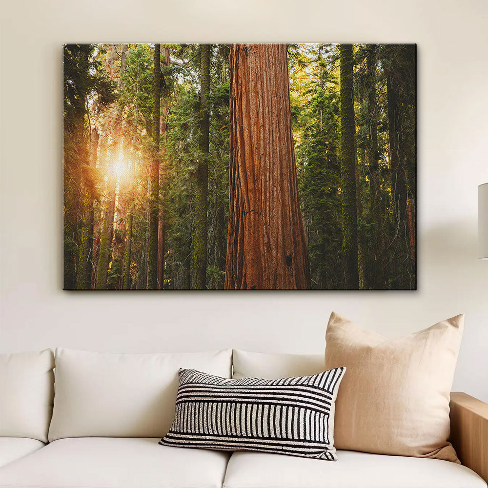 Sequoia National Park Wall Art