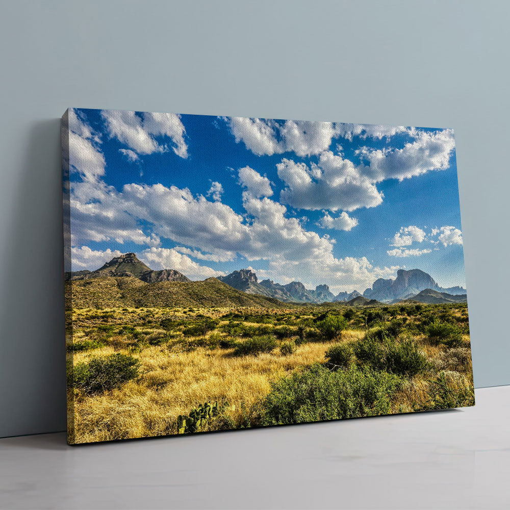 Big Bend National Park Wall Art