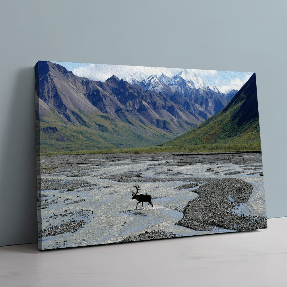 Denali National Park and Preserve Wall Art