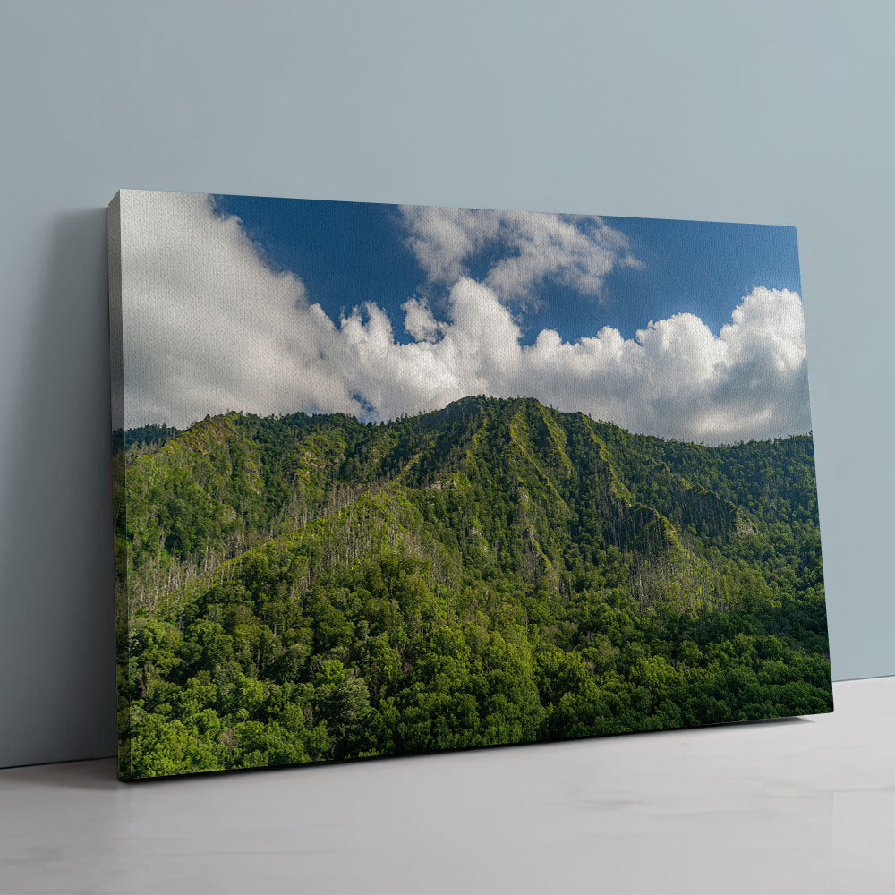 Great Smoky Mountains National Park Wall Art