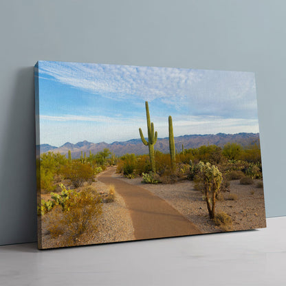 Saguaro National Park Wall Art