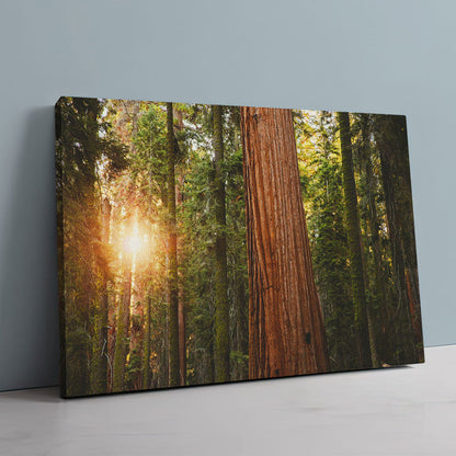 Sequoia National Park Wall Art