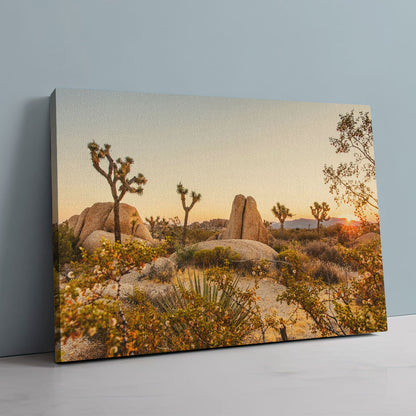 Joshua Tree National Park Wall Art