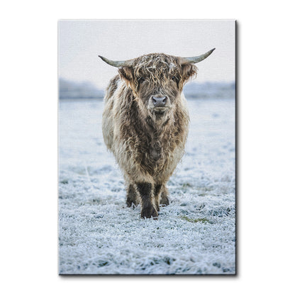 Winter Highland Cow Wall Art