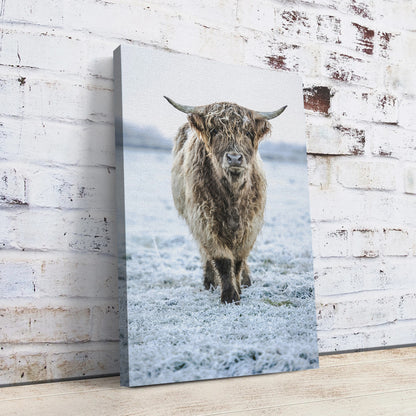 Winter Highland Cow Wall Art