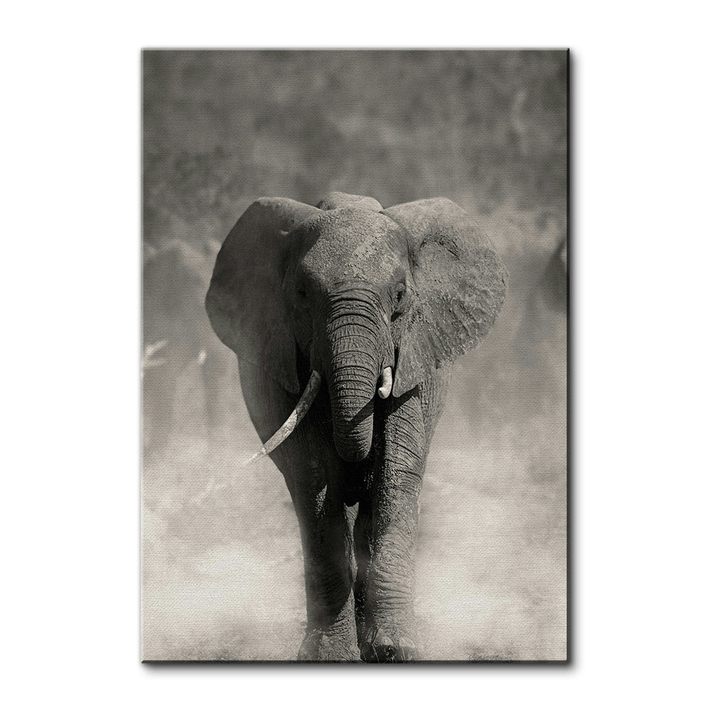 Gray Elephant Wall Art