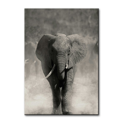 Gray Elephant Wall Art