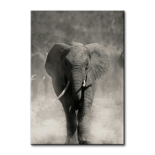 Gray Elephant Wall Art