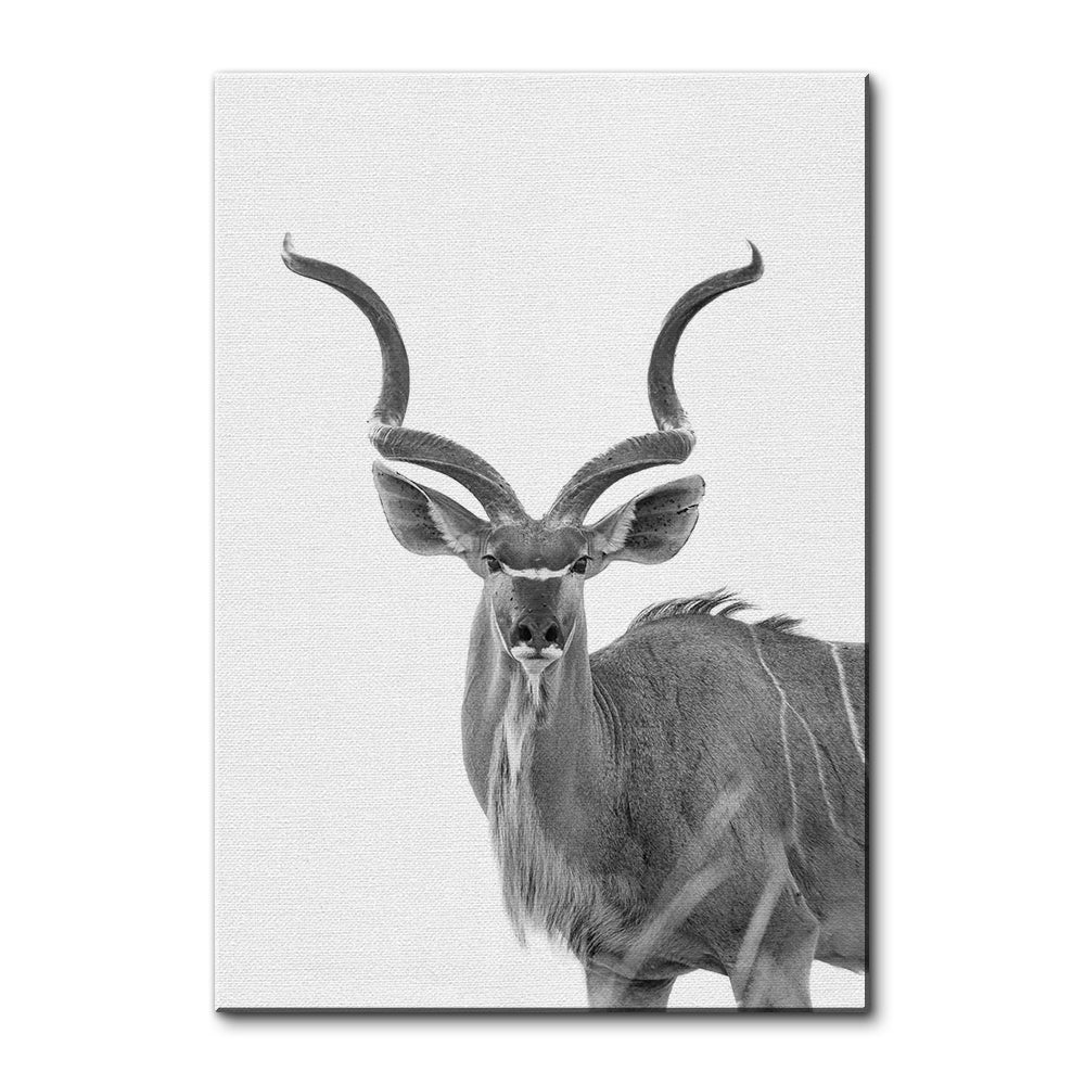 Greater Kudu Wall Art