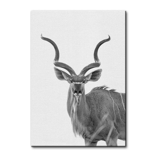 Greater Kudu Wall Art