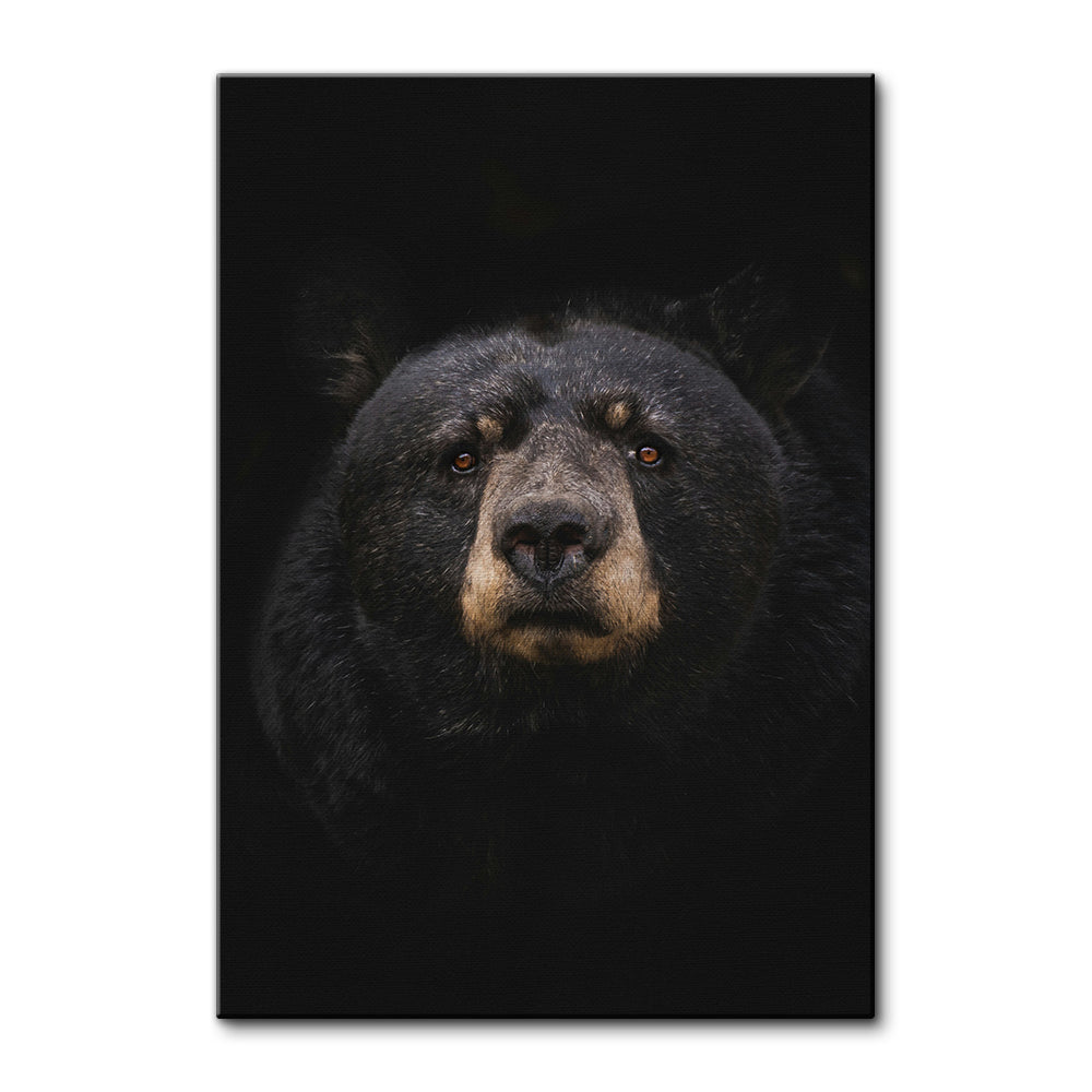 Black Bear Wall Art