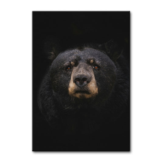 Black Bear Wall Art