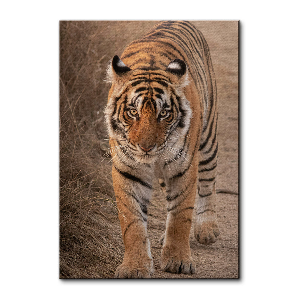 The Tiger Large Wall Art