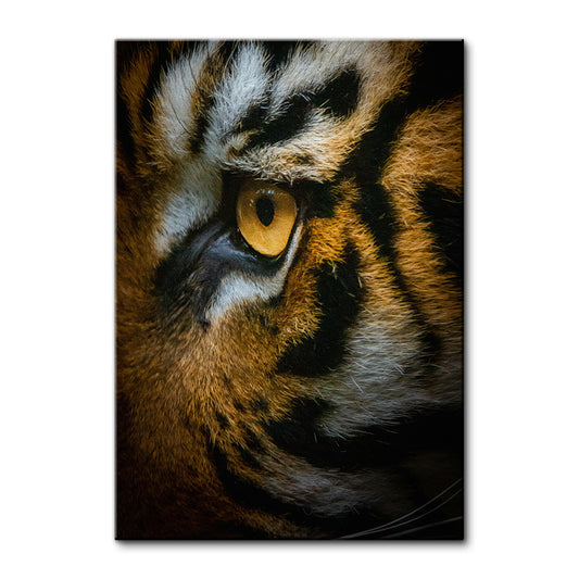 Tiger Eyes Large Wall Art