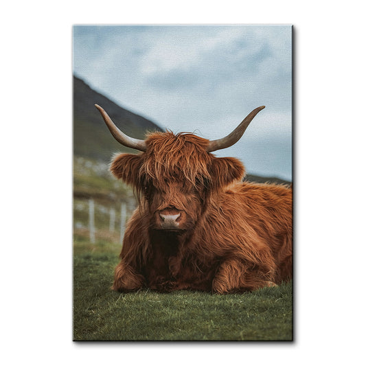 Chill Highland Cow Wall Art