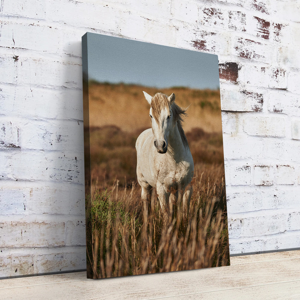 Safari White Horse Wall Art