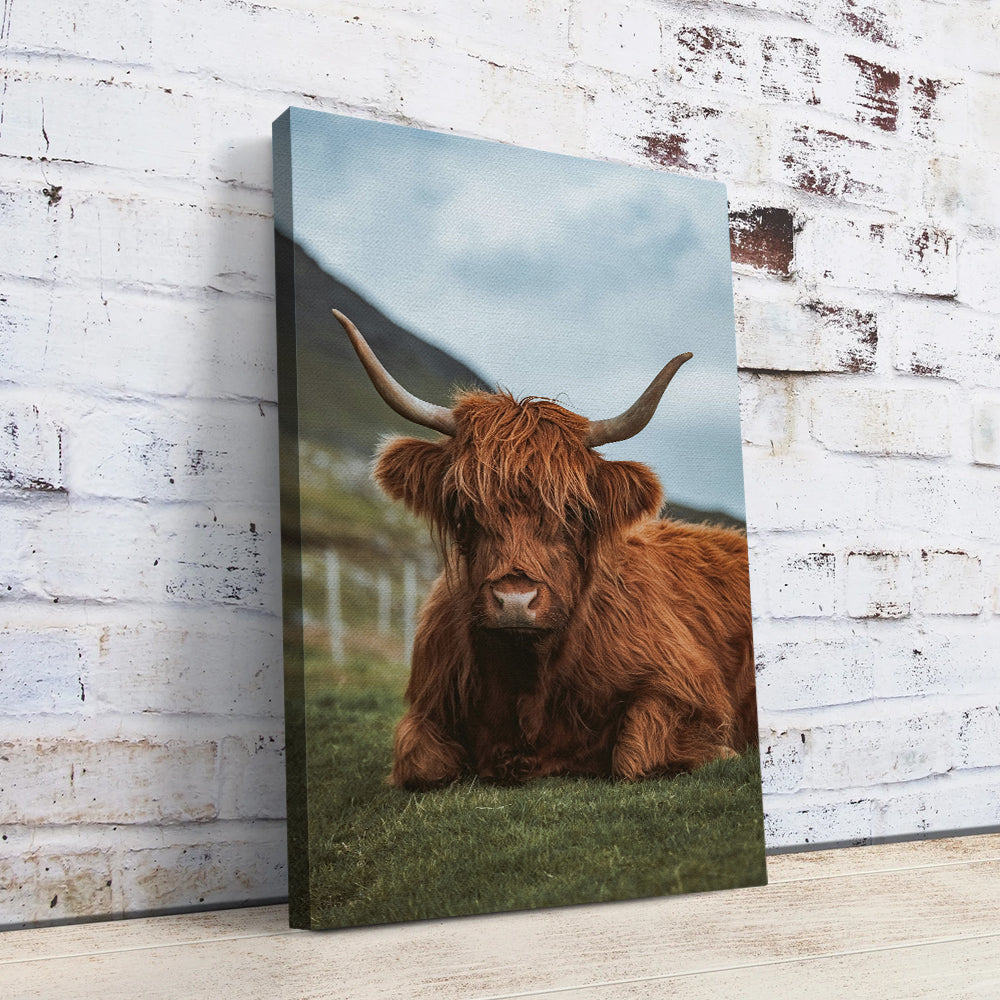 Chill Highland Cow Wall Art
