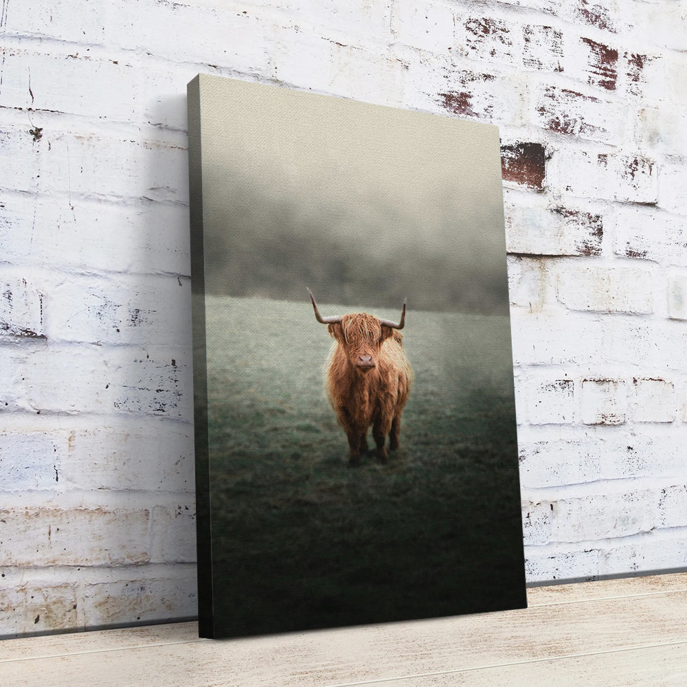 Mystery Highland Cow Wall Art