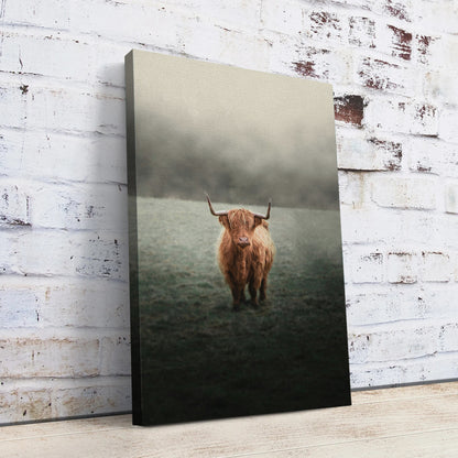 Mystery Highland Cow Wall Art