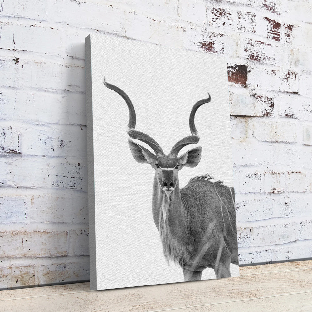 Greater Kudu Wall Art