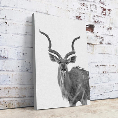 Greater Kudu Wall Art