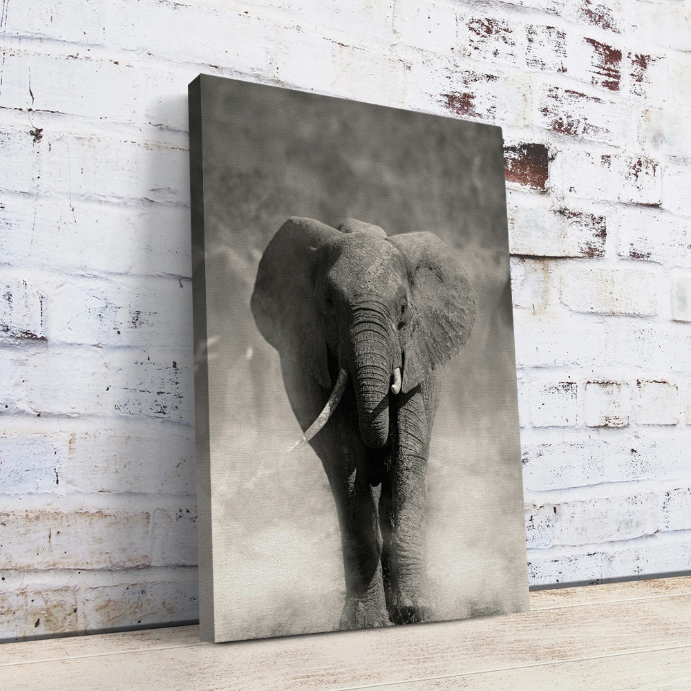Gray Elephant Wall Art