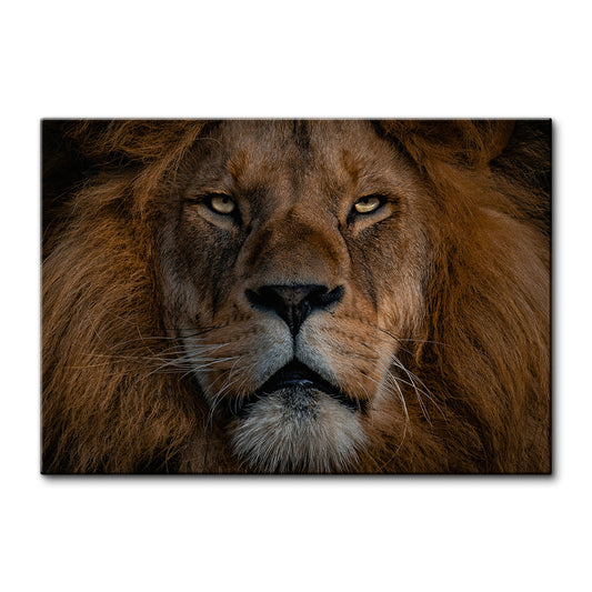 The Lion Large Wall Art